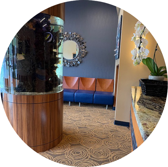 Sound Orthodontics - Interior Office