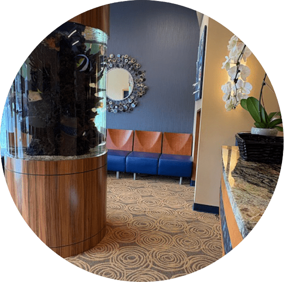 Sound Orthodontics - Interior Office